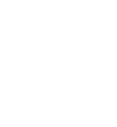 icona intervista