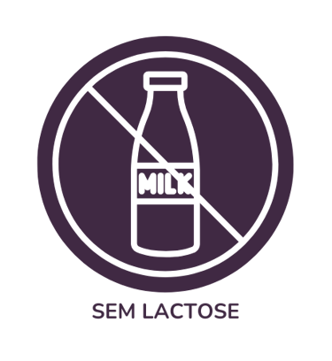 Sem Lactose Mr. Fit Prudente