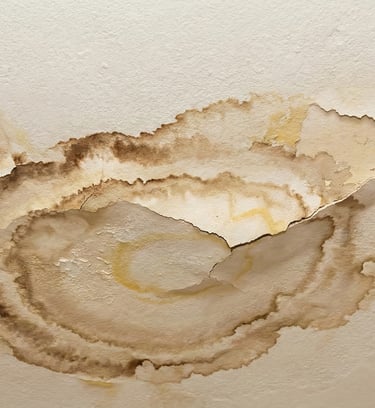 Water damage ceiling Needham MA