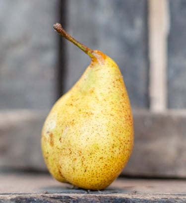 Poire Louise Bonne bio cultivée en agriculture biologique dans le verger familial en Savoie – La Fer