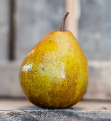 Poire Président Héron bio du verger familial en Savoie, savoureuse et juteuse – La Ferme du Coteau