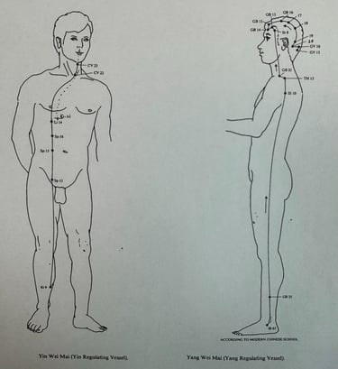 Second Ancestry overview: Yin and Yang Wei Mai showing how dots of experience unfold through life.