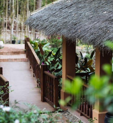 ดอยเสมอดาว จุดถ่ายรูปยอดนิยมของจังหวัดน่าน