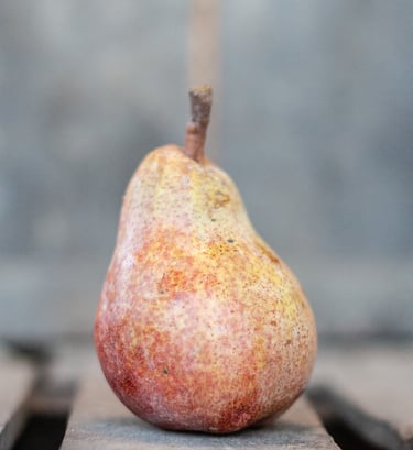 Poire William Rouge bio juteuse cultivée dans notre verger familial en Savoie – La Ferme du Coteau