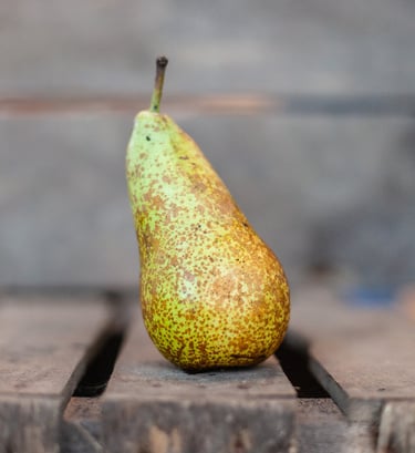 Poire Conférence bio du verger familial en Savoie, douce et parfumée – La Ferme du Coteau