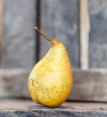 Poire Louise Bonne bio cultivée en agriculture biologique dans le verger familial en Savoie – La Fer
