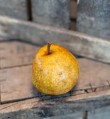 Poire Passe Crassane bio mûre et parfumée du verger familial en Savoie – La Ferme du Coteau
