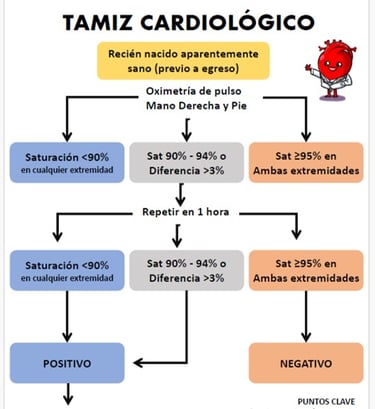 a diagram of a diagram of the cardiological diagram of the cardiological