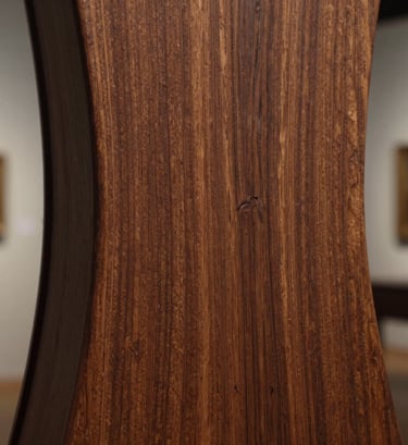 Detailed macro photograph of a carved wood installation, showing the smooth, polished surface and rich grain of Black Walnut. Studio lighting creates deep shadows and elegant highlights in a museum-like atmosphere. Professional North American architectural photography style.
