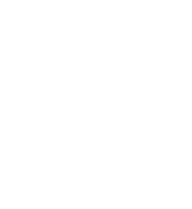 icona intervista