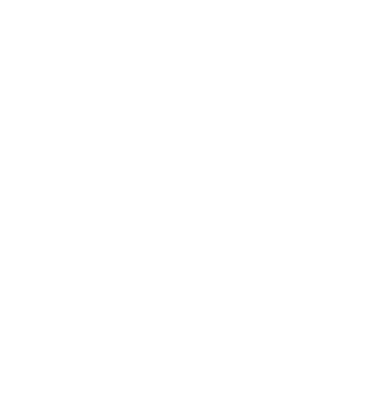 icone social media