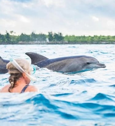 Guest snorkeling and swimming with dolphins during a Mnemba Island Zanzibar day tour