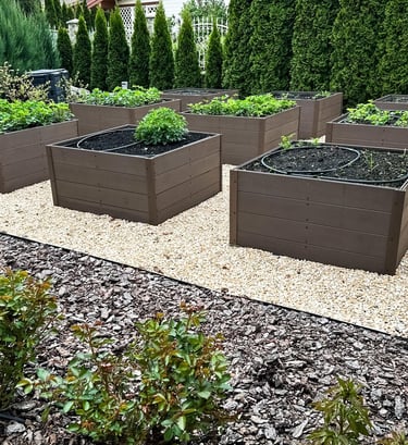Garden area with raised wooden beds and drip systems on gravel, framed by fir trees acting as a natu