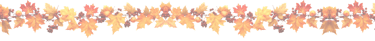 Autumn Leaves border illustration