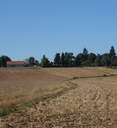 Photo vue large Le Tertre-Saint-Denis 78980 - ATZ Diagnostic Immobilier