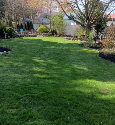 Residential Property Mowing