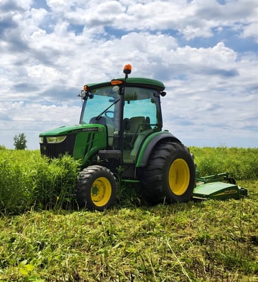 bush hogging and corridor clearing Louisiana and Mississippi right of way