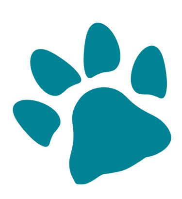 coussinet chien