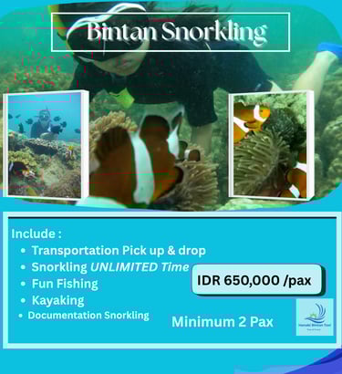Snorkeling Trip