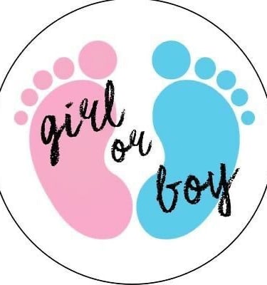 DNA gender review in hialeah