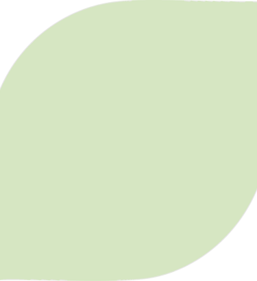 a green leafy plant with a leafy green background