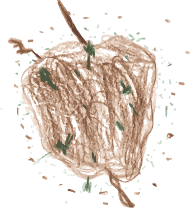 a drawing of a leafy apple in a leafy tree