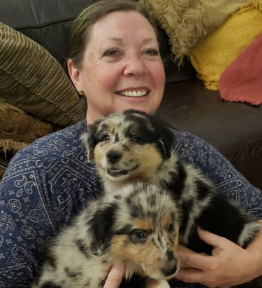 holding laudrick aussie puppy