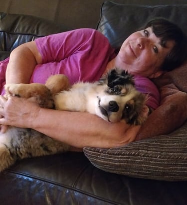 relaxing with laudrick aussie dog