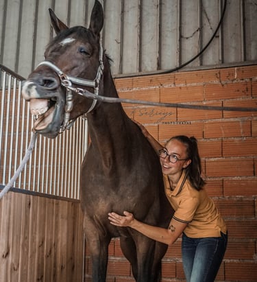 massage cheval bien-être