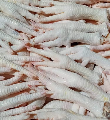 Chicken feet Exports by DGT