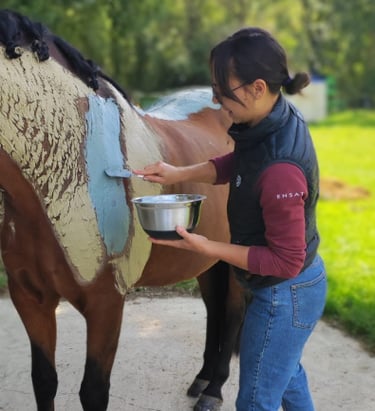 Enveloppement aux algues cheval
