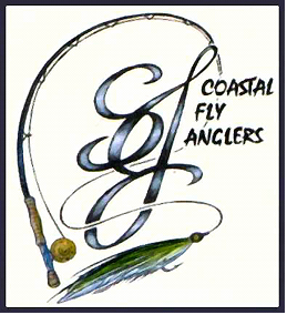 South Jersey Coastal Fly Anglers