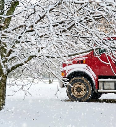 paisaje de nieve en estados unidos y de fondo un camion