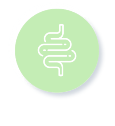 illustration logo microbiote cecilia tetard 