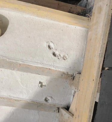 Įspaustos katės pėdos betone