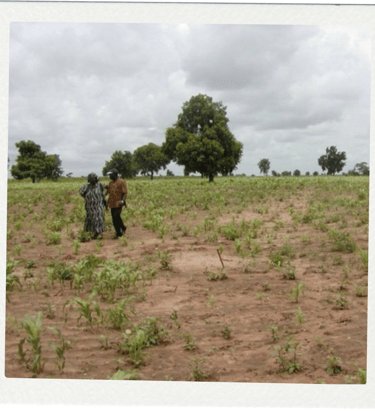 HUMANITARIAN ACTIONS - MAMMA KANDEH