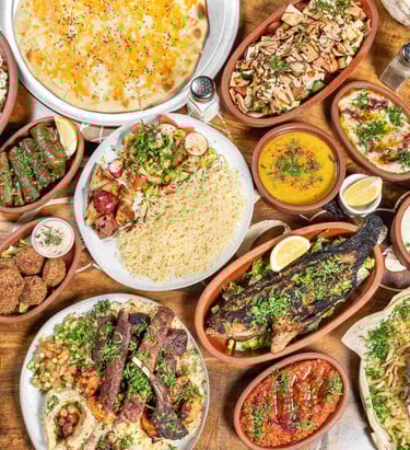 middle eastern restaurant dishes in nyc