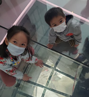 Temporary Glass Lookout