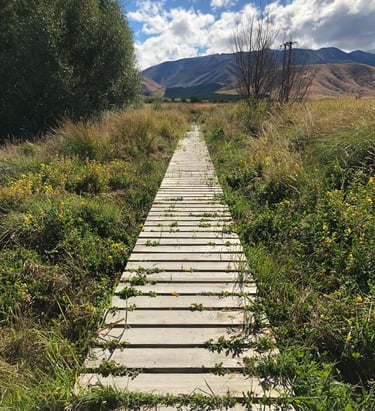 pathway in nature start where you are one step at a time