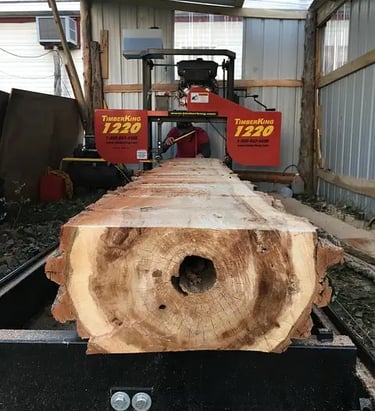 bille de bois se faisant découper à la scierie