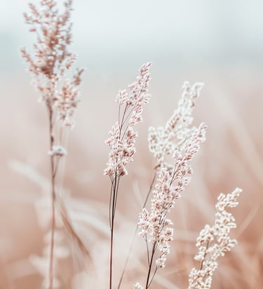 Sunlight filtering through a living landscape, evoking feeling nothing is broken only becoming whole