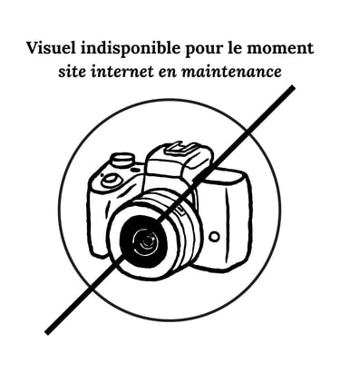 Appareil photo barré pour informer que l'image est indisponible pour maintenance du site internet.