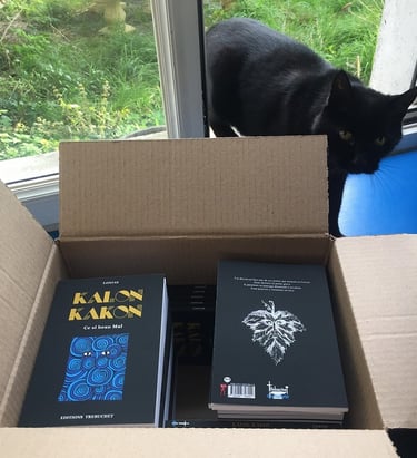 Le chat Poupou regarde les livres Kalon Kakon en carton