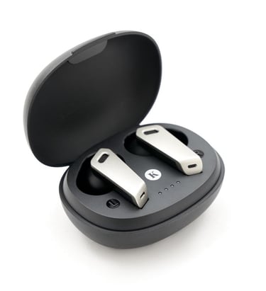 Sleek silver wireless earbuds sitting inside a black open charging case on a white background.