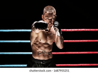 Boxe anglaise saint maur