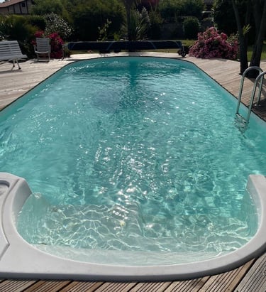 Rénovation d'une piscine en Nouvelle Aquitaine, 10m x 4m