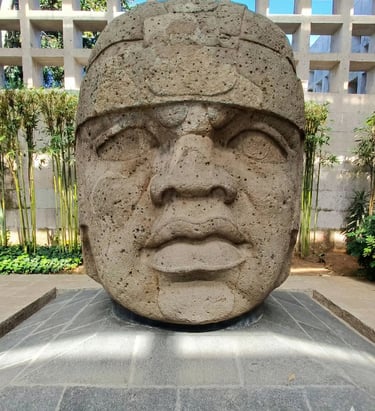 Cabeza colosal Olmeca 1 El Rey. Museo de Antropología de Xalapa. Patrimundi Itineraios Culturales