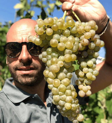 Giovanni d'Alesio, produttore Abruzzese vino artigianale e distribuzione vini italiani e francesi