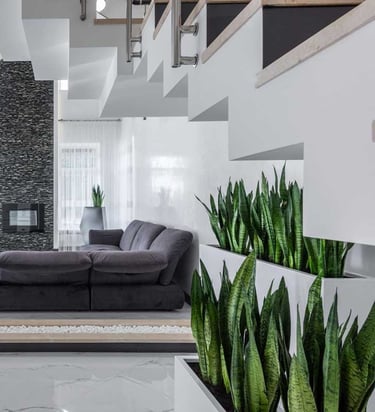 Pleisterwerk traphal