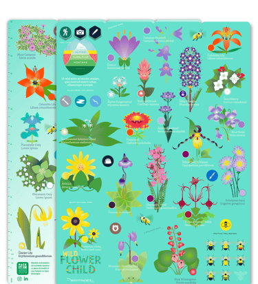 A WcoAGS gameboard to launch the Wildflower Child game with AR experiences.